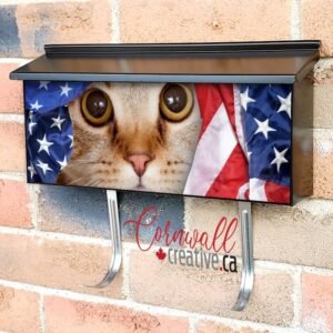 Kitten in a US Flag Wall-mounted Townhouse Mailbox Cover