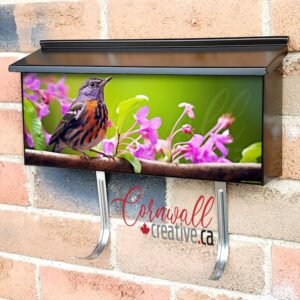 Robin Bird In Spring Season On A Tree Branch Wall-mounted Townhouse Mailbox Cover