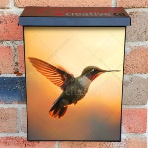 Rufous Hummingbird Hovers Mid Air Spreading Iridescent Colonial Mailbox Cover