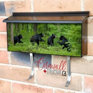 Playful Cubs Running Through Green Forest Wall-mounted Townhouse Mailbox Cover