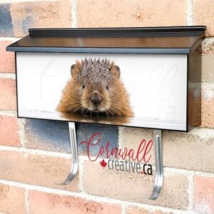 Baby Beaver Hiding Wall-mounted Townhouse Mailbox Cover