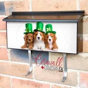 A Dog Portrait With A Hat For St Patrick 2 Wall-mounted Townhouse Mailbox Cover