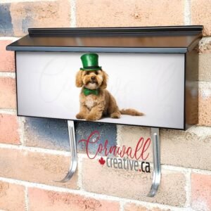 A Dog Portrait With A Hat For St Patrick 4 Wall-mounted Townhouse Mailbox Cover