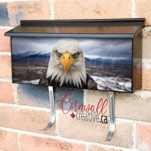 American Bald Eagle Closeup In The Nature Wall-mounted Townhouse Mailbox Cover