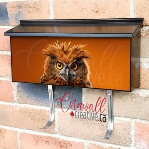An Angry Owl Looking At The Camera Wall-mounted Townhouse Mailbox Cover