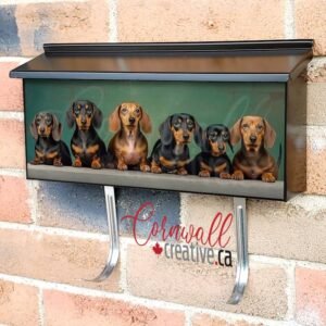 Dachshunds Sitting On Old Wall Background Wall-mounted Townhouse Mailbox Cover