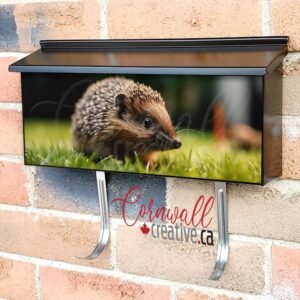 Hedgehog On A Green Lawn Wall-mounted Townhouse Mailbox Cover
