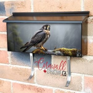 Peregrine Falcon Standing On A Fallen Tree Branch Wall-mounted Townhouse Mailbox Cover