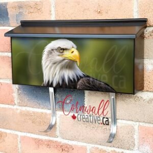 Portrait Of An American Bald Eagle Wall-mounted Townhouse Mailbox Cover