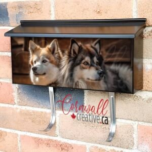 Purebred Shetland Sheepdog Sitting Outdoors Looking Cute Wall-mounted Townhouse Mailbox Cover