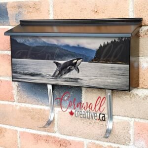 Killer Whale Breaching Out Of Water Wall-mounted Townhouse Mailbox Cover