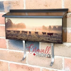 Grazing Cows In A Meadow Wall-mounted Townhouse Mailbox Cover