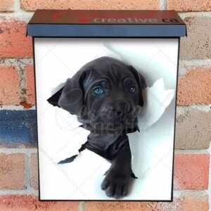 Cute Blue Eyed Puppy Colonial Mailbox Cover