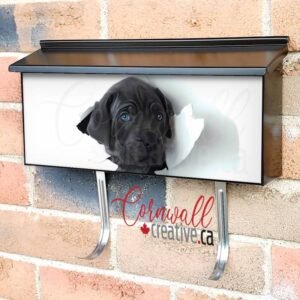 Cute Blue Eyed Puppy Wall-mounted Townhouse Mailbox Cover
