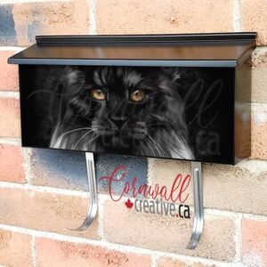 Beautiful Black and White Maine Coon Cat Wall-mounted Townhouse Mailbox Cover