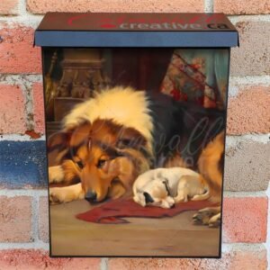 No Walk Today by Wright Barker Colonial Mailbox Cover