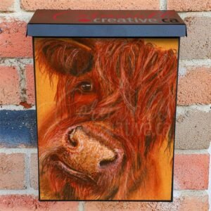 Cute Highland Bull Colonial Mailbox Cover
