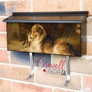 The New Best Friend Wall-mounted Townhouse Mailbox Cover